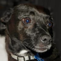 Photo of Jeff (Was Jet)