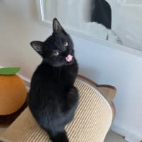 Photo of Bon Bon 