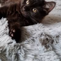 Photo of Athena