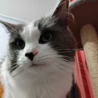 Photo of Aspen
