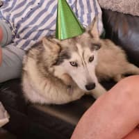 Photo of Ghost & Mirri