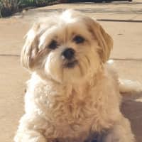 Photo of Molly Quinnell