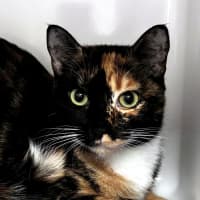 Photo of Junie Rstk013767