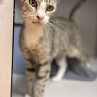 Photo of Yuki