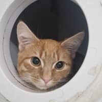 Photo of Monty