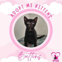 Photo of Buttons