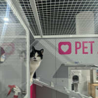 Photo of Prada