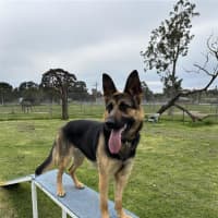 Photo of Trudy