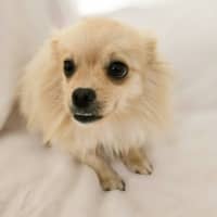 Photo of Mia 
