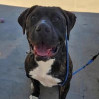 Photo of Mickey Cash