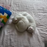 Photo of Parsnip & Yam