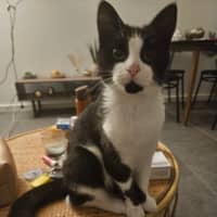 Photo of Jasper Picton