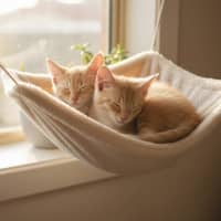 Photo of Betty And Ernie