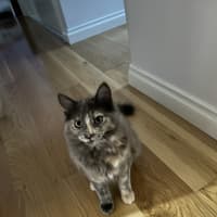 Photo of Riley
