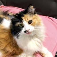 Photo of Beatrice Sta014369