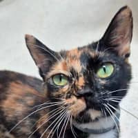 Photo of Faye (8925)