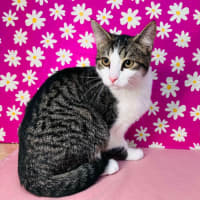 Photo of Jemma   Located In Brunswick East