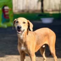 Photo of Archer