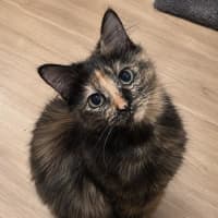 Photo of Soka