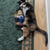 Photo of Tully