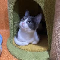 Photo of Smoosh