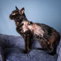 Photo of Bernard 