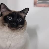 Photo of Cosimo
