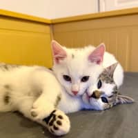 Photo of Evacuation Plan