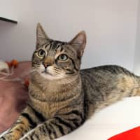 Photo of Clawde Monet