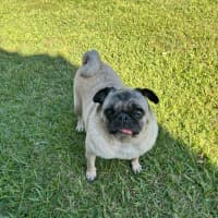Photo of Frank