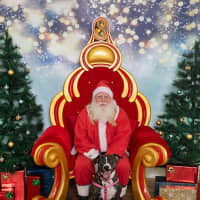 Photo of Darcee Cameron