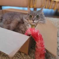 Photo of Klaus