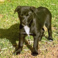 Photo of Sandy