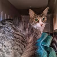 Photo of Bailey!  👑 