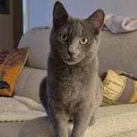 Photo of Blue
