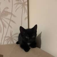 Photo of Johnny Walker