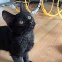 Photo of Salem