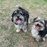 Photo of Libby & Jack