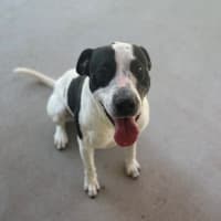 Photo of Bingo (4471)