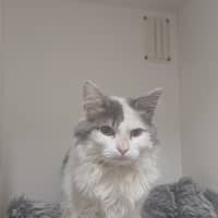 Photo of Crumb