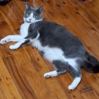 Photo of Athos