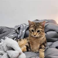 Photo of Meelo