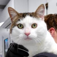 Photo of Oliver Sua013016