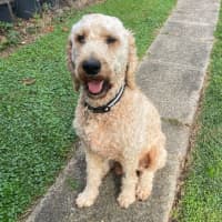 Photo of Murphy