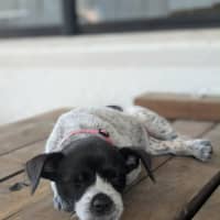 Photo of Evie