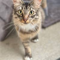 Photo of Sox