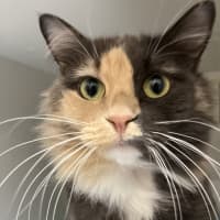Photo of Madeline