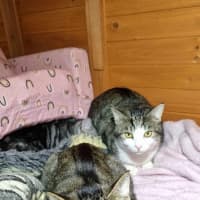 Photo of Spencer & Penny