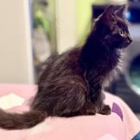 Photo of Sammy