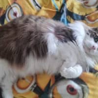 Photo of Zuzu